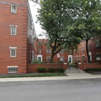 Red brick apartments with a big green tree in a courtyard in the middle