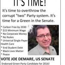 Joe DeMare flyer