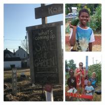 Collage of photos from Kossuth St Garden