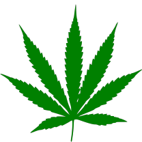 Pot leaf