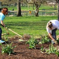 People in a garden planting