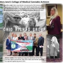 Collage of pictures from Mary Jane's activism