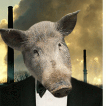 Pig in a tux