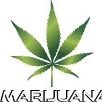 A big green leaf with 7 leaves, a pot leaf it is, with words MARIJUANA in capitals below